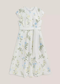 Ivory Multi