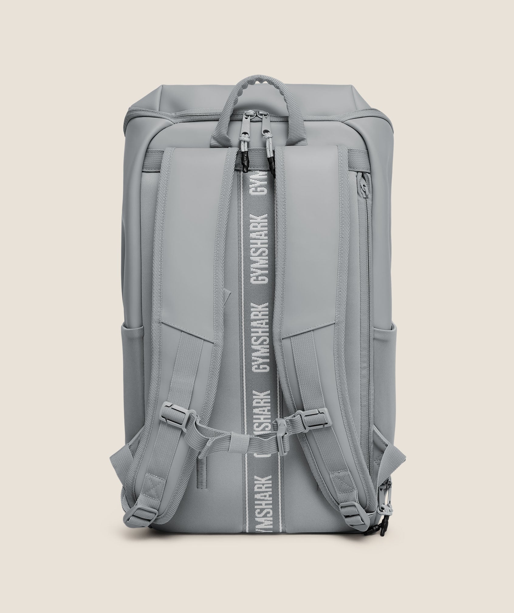 Sleek Backpack